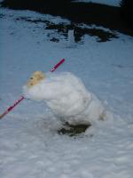 Schneemann