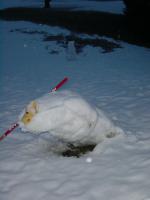 Schneemann