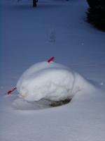 Schneemann
