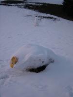 Schneemann