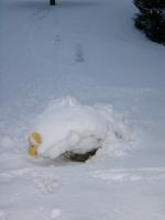 Schneemann