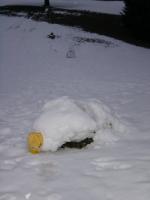 Schneemann