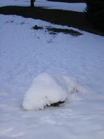 Schneemann