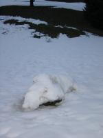 Schneemann
