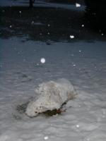 Schneemann