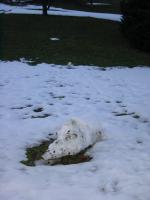 Schneemann
