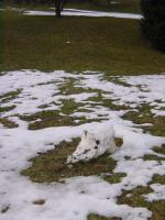 Schneemann