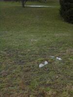 Schneemann